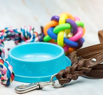 Accesorios